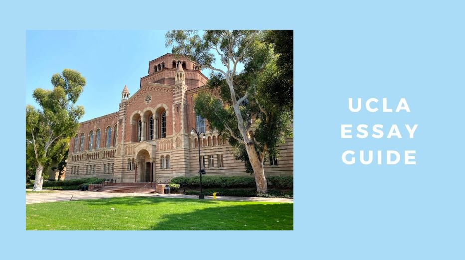 ucla entrance essay